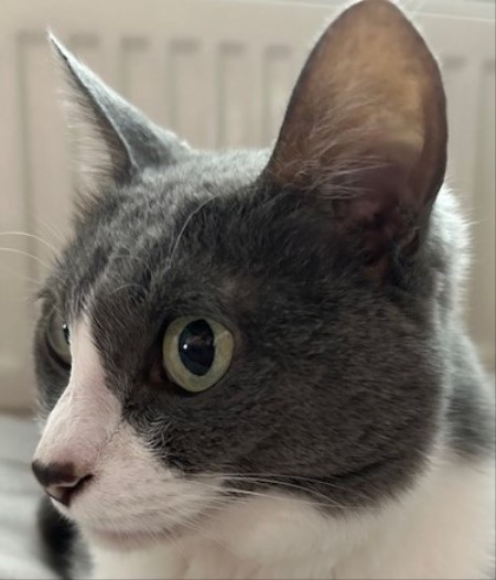 thumbnail_IMG_1967 (1)