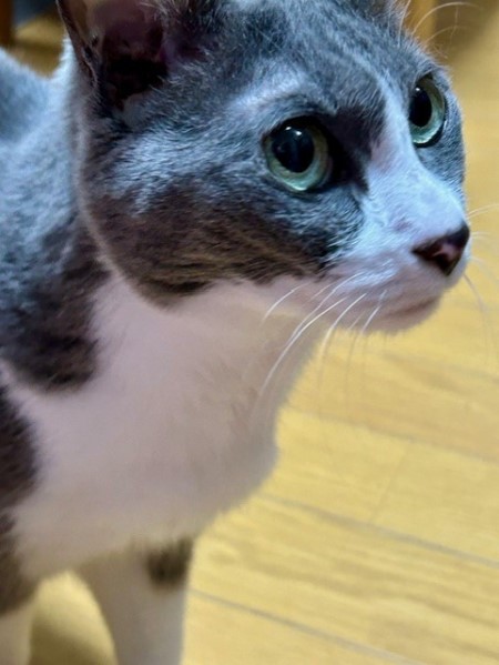 thumbnail_IMG_4595 (1)