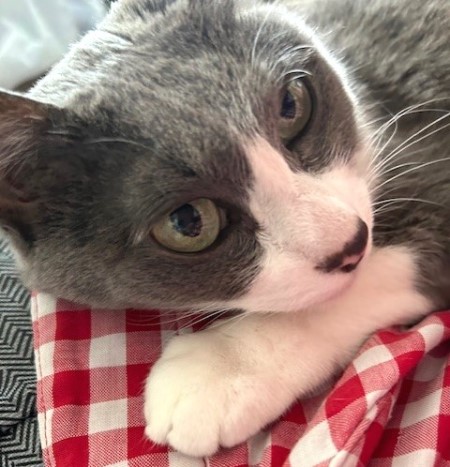 thumbnail_IMG_1206 (1)