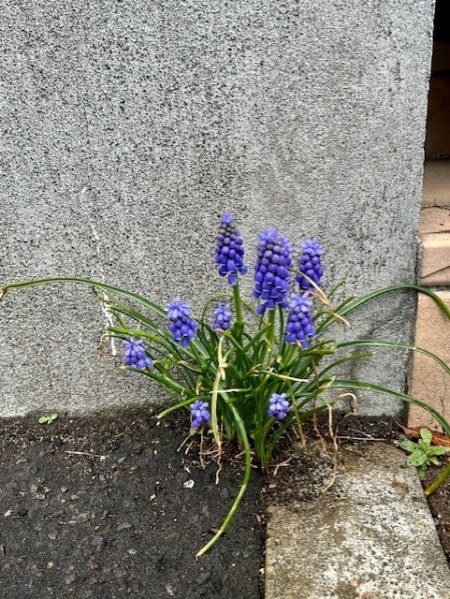 thumbnail_IMG_5272 (1)