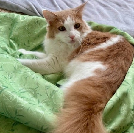 thumbnail_IMG_4747 (2)