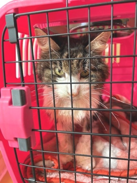 thumbnail_IMG_7496 (1)