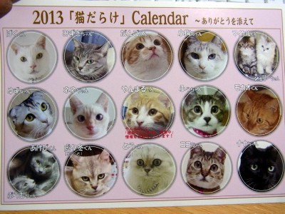 「猫だらけ」