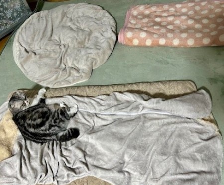 88af1c72-df95-4a94-8657-5cb881a499db