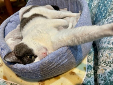 eca55394-f89a-4595-8b8e-97a868e4ab08