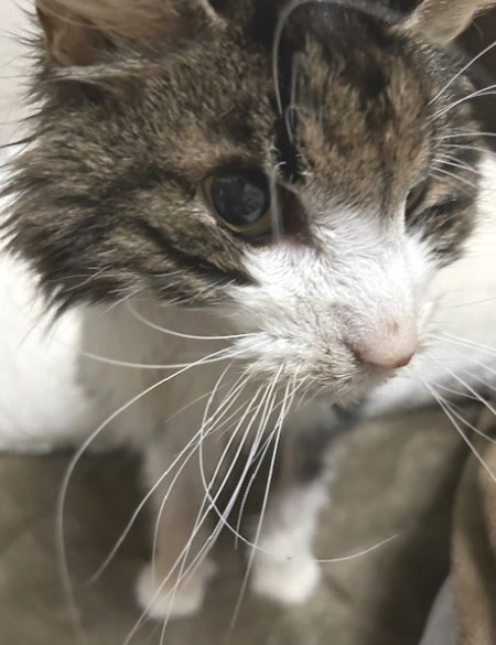 thumbnail_IMG_6355 (1)