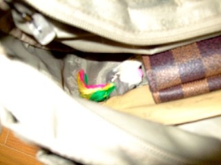 2007_10070010