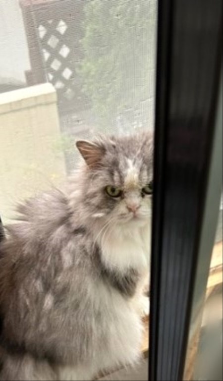 thumbnail_IMG_7051 (1)