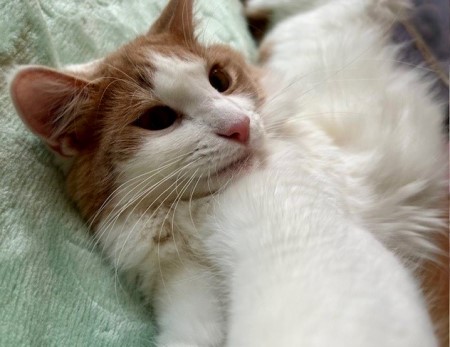 thumbnail_IMG_8373 (3)