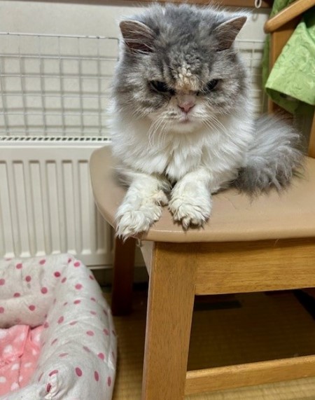 thumbnail_IMG_3342 (1)