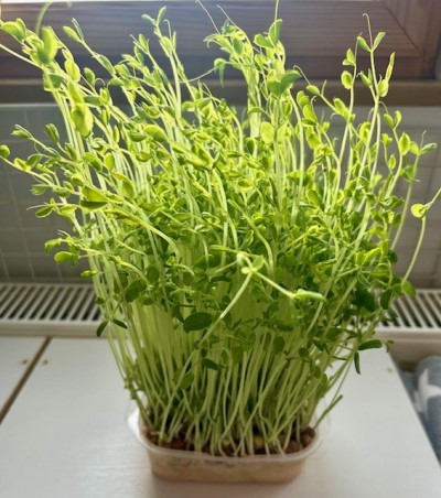 def27555-1f18-4856-a77d-da2b69362e9b