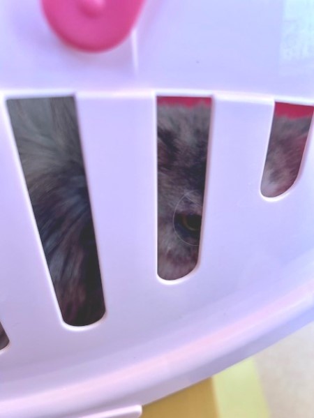 fdb9c129-e8e7-4898-9457-bc7defc8527a