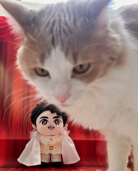 こひろみくん（郷ひろみさんのぬいぐるみ）の服作り⑥ : 猫だらけ