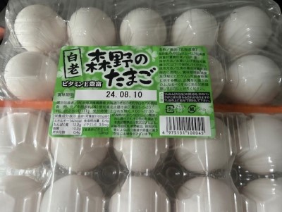 thumbnail_IMG_3829 (2)