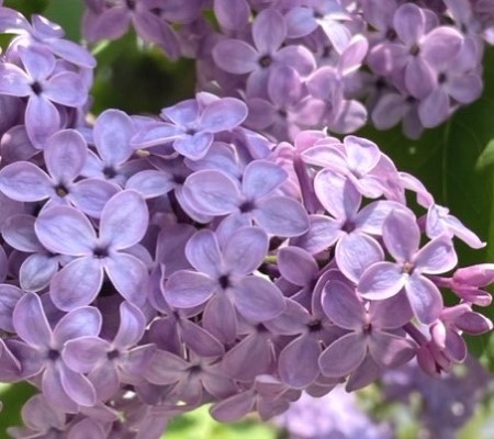 thumbnail_IMG_0778
