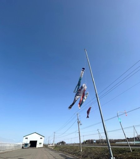 thumbnail_IMG_9213