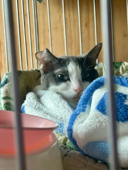 thumbnail_IMG_3805 (2)