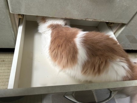 thumbnail_IMG_9707 (1)