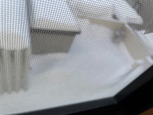 IMG_64501
