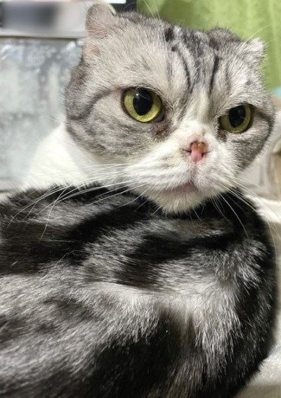 3537