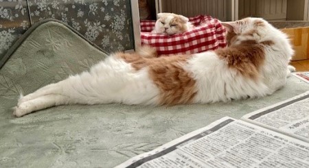 thumbnail_IMG_6317 (1)