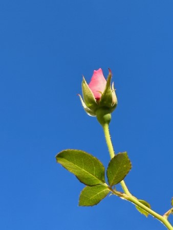 thumbnail_IMG_9135