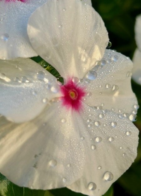 thumbnail_IMG_2276 (1)