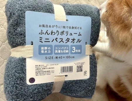 thumbnail_IMG_2454 (2)