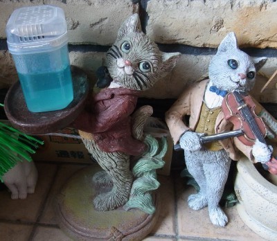 「猫だらけ」