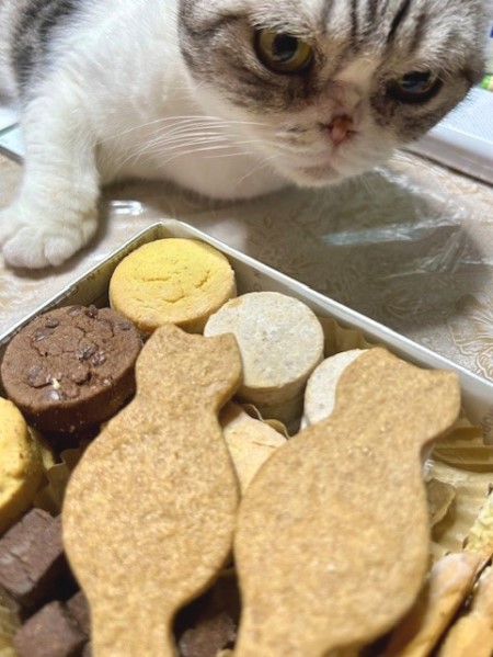 thumbnail_IMG_6941 (1)