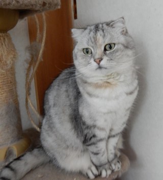 DSCN5045
