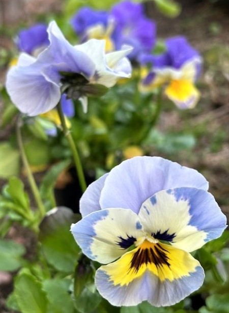 thumbnail_IMG_9333 (1)