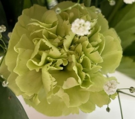 thumbnail_IMG_5757