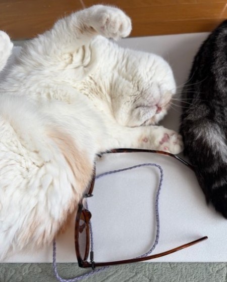 6f30e6c2-411a-4c95-bffb-8650fbd1a166