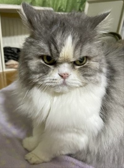 2859