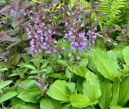 thumbnail_IMG_8023 (1)