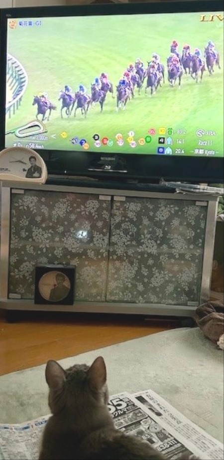 thumbnail_IMG_4097_1