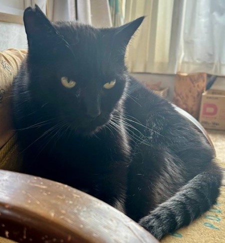 thumbnail_IMG_4012 (1)