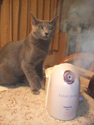 2008_0128猫写真0057