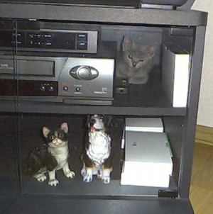 photo123_1