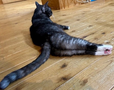 483cbe98-284e-401d-a670-df4b094444b5