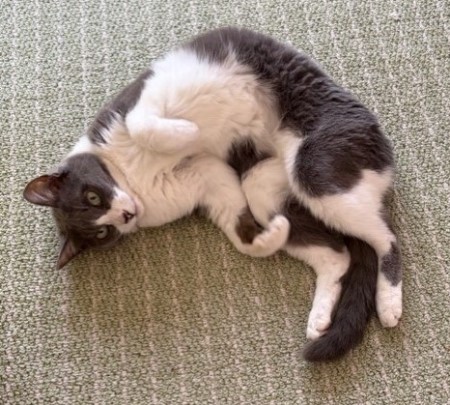 a6ad91be-2d19-4e1f-b543-be8c3a86f0bf