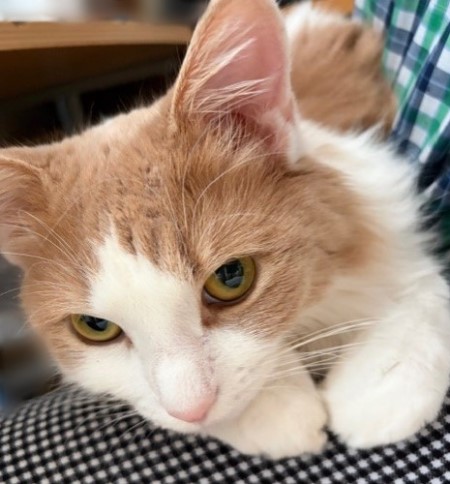 aa849545-35a9-4c59-873b-f51545fad5d2