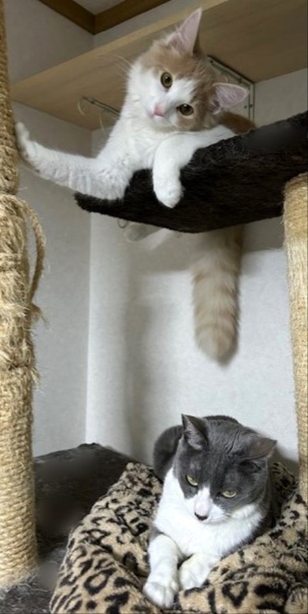 thumbnail_IMG_3534