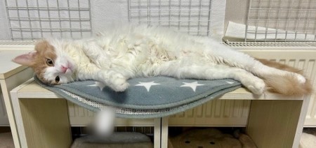 5325bf4c-7611-45d1-b172-a7292136c437