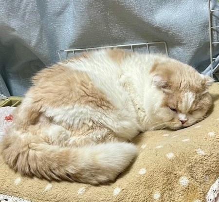 36edcae5-ed4d-4739-b96c-0536d5971a10