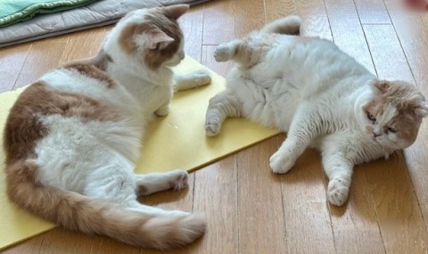 thumbnail_IMG_0405 (1)