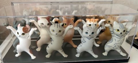 thumbnail_IMG_0744