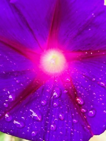 thumbnail_IMG_5561