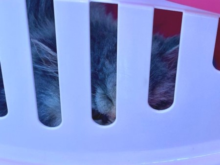 thumbnail_IMG_4579 (1)